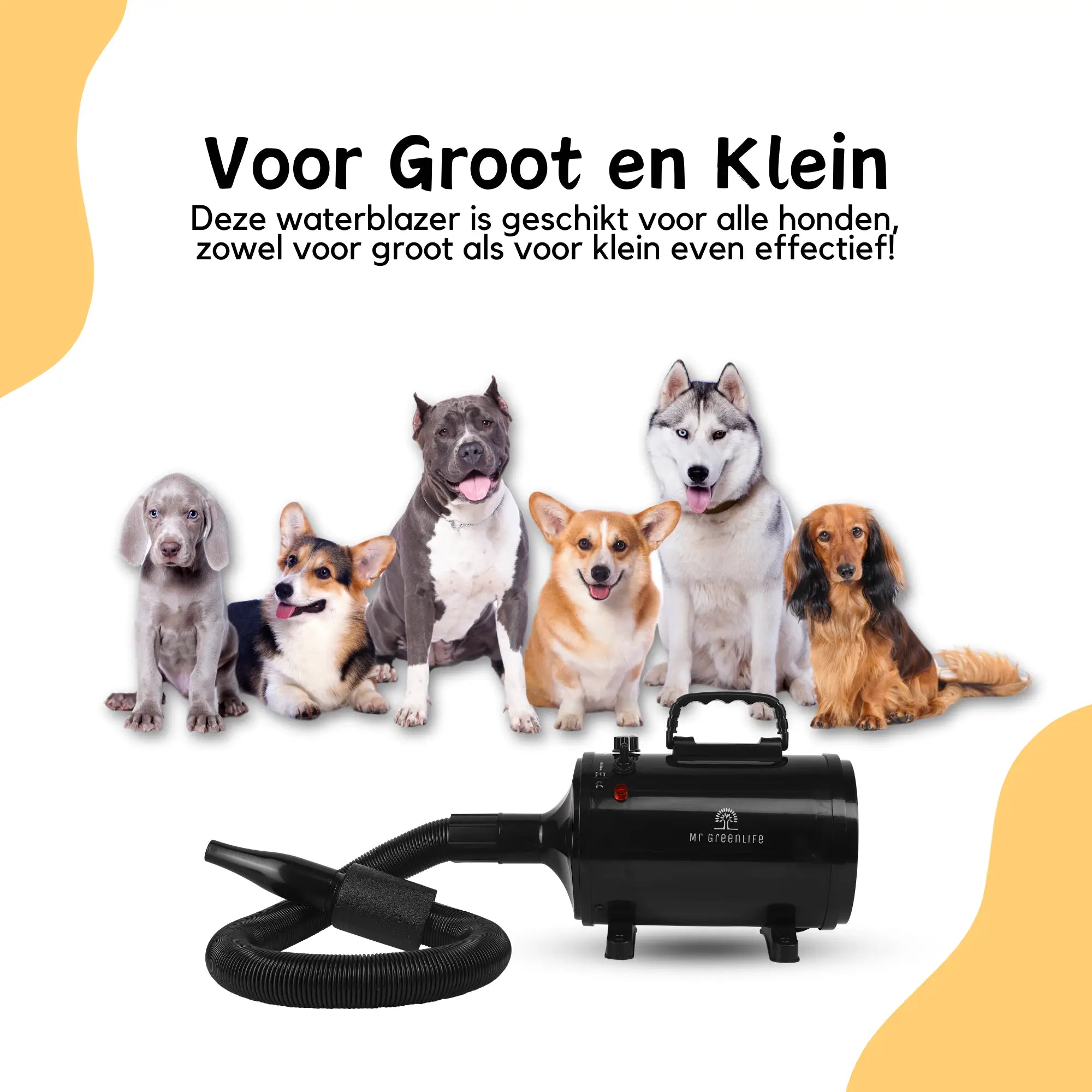 Waterblazer Hond: De Perfecte Oplossing Voor Droge Schone Honden